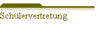 Schülervertretung